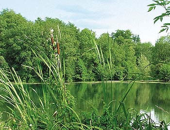 Location bateaux sur la Charente